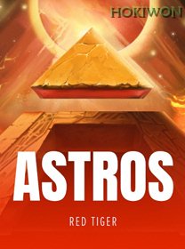 Astros banner